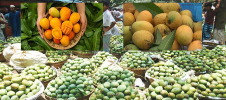 Mango export is less than half this time, what is the reason?