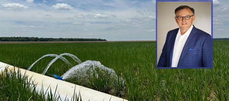 Nutrien partners with the Rice Stewardship Program