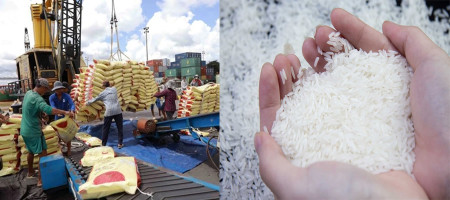 Vietnam and Thailand are vying for a larger rice market share in the Philippines