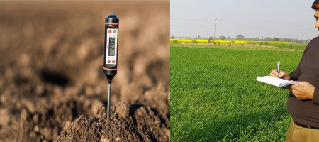 Organic fertilizers are essential to increase crop yields and maintain soil health