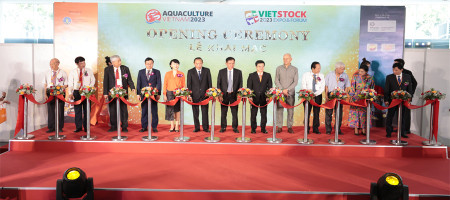 VIETSTOCK EXPO & FORUM 2024
