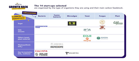 Biomass Fermentation chosen as the central focus of MISTA’s second annual Growth Hack