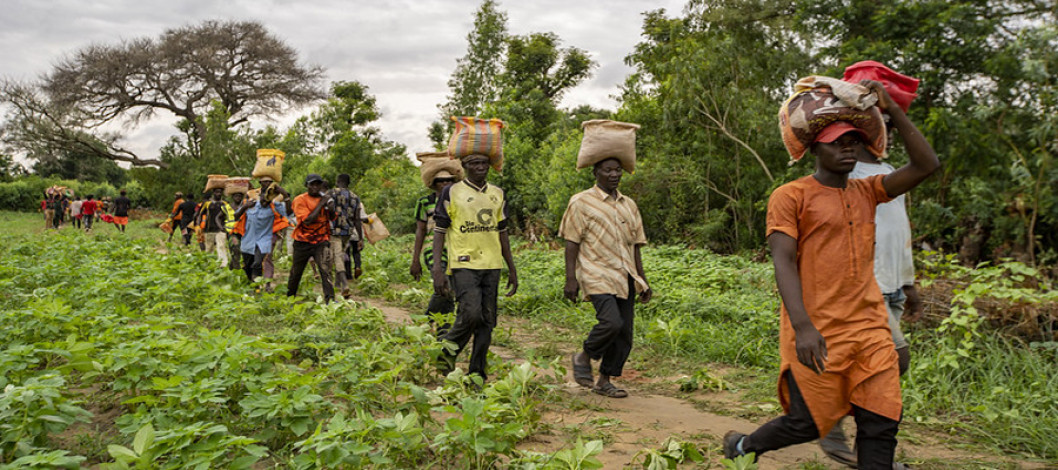 FAO urges swift action as La Niña threatens global food security
