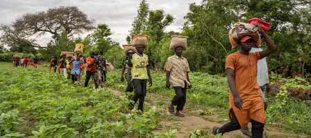 FAO urges swift action as La Niña threatens global food security