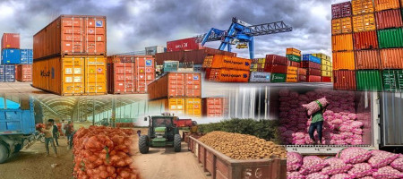 Agricultural exports fell 4% in April-August due to a slowdown in the rice trade