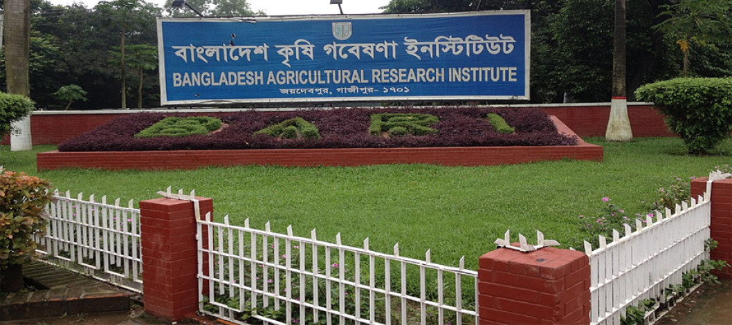 Achievements of Bangladesh Agricultural Research Institute (BARI)