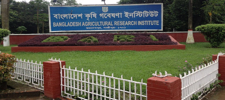 Achievements of Bangladesh Agricultural Research Institute (BARI)