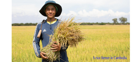 FAO Food Price Index rises in September