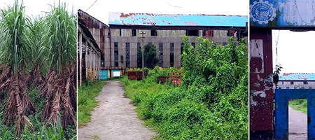 Reintroduction of SSML can boost the economy to change the fortunes of farmers