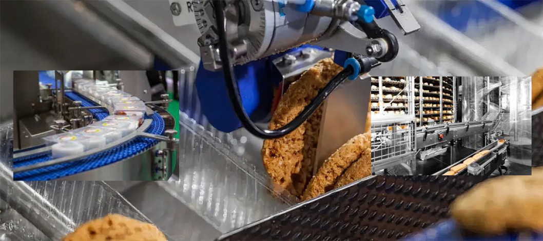 Importance and processes of food processing and packaging