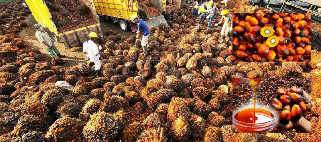Taxation issues for the Malaysian palm oil sector