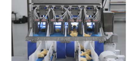 AI-powered broiler sexing: A hatching success?