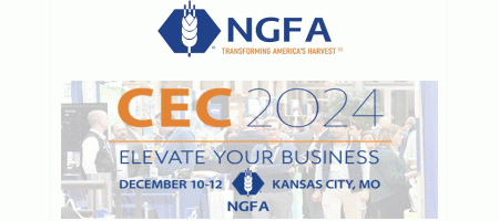 Ferromex to Present at CEC