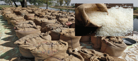 PH will benefit from the removal of India's MEP on rice exports