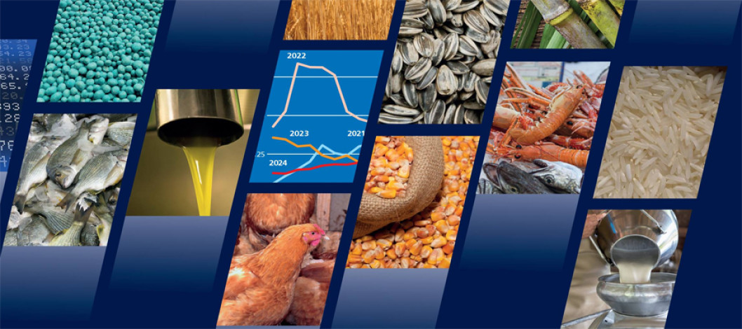 Cocoa, coffee, and tea push up global food import bill for wealthier countries