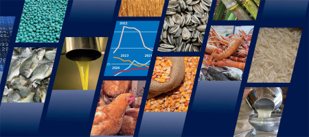 Cocoa, coffee, and tea push up global food import bill for wealthier countries