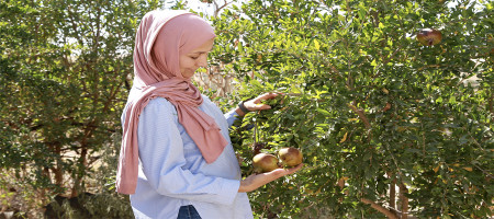 Together for farmers: FAO and COP29 Presidency launch the ‘Baku Harmoniya Climate Initiative for Farmers’