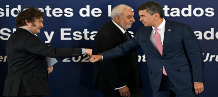 EU Mercosur agreement: a step back for Europe’s agriculture?