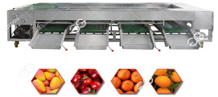 A short feature about the Automatic Fruit Washing Sorting Machine
