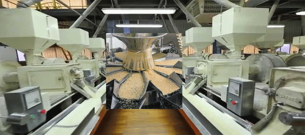 Classification of modern rice milling machines today