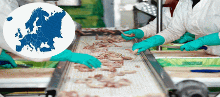 EU poultry production and consumption set to rise
