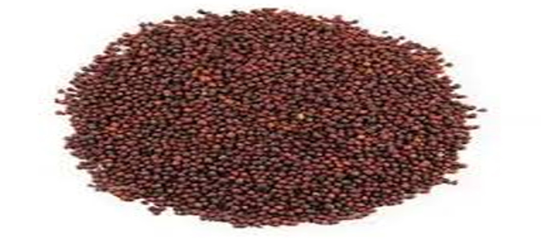 Farmers expect surplus mustard output as record farming happened
