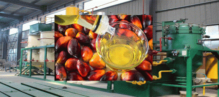 Indian refiners cancel palm oil orders due to price surge