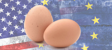Market analysis: egg shortages and prices in Europe and the US