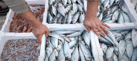 Boost for the global fight against illegal, unreported and unregulated fishing