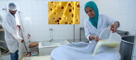 FAO Food Price Index increases in April