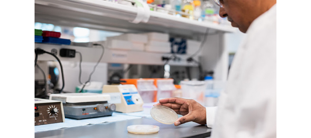 Xylogenics, Inc. Secures U.S. Patent for Breakthrough Yeast Strain Advancing Fuel Ethanol Production