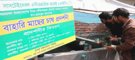 Ornamental fish farming is gaining popularity among young people in Rajshahi, Bangladesh.