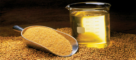 Edible oil refiners are working towards exporting surplus soybean meal