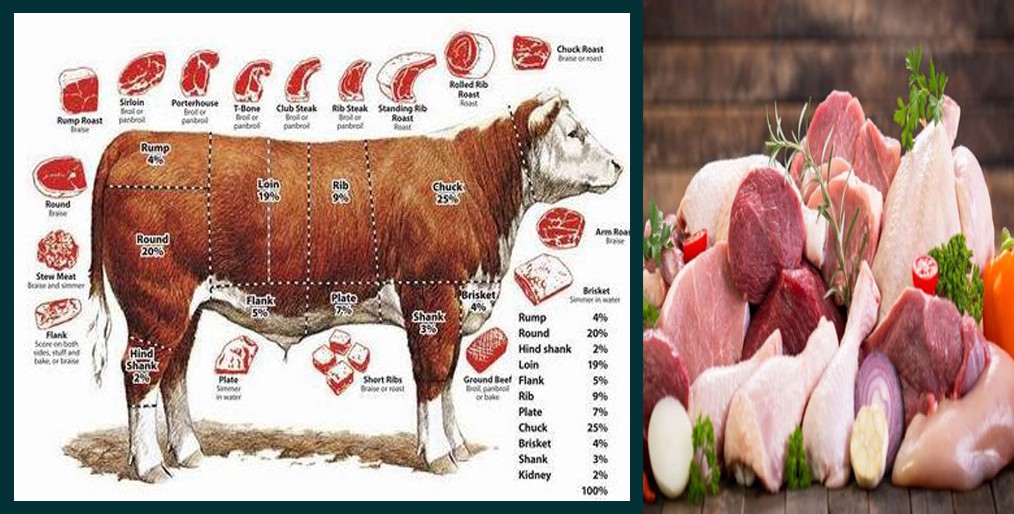 Rejects the call to reduce meat consumption in the face of climate change!