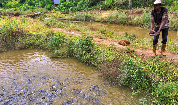 Norway pledges $5 million for IFAD aquaculture projects in East Africa