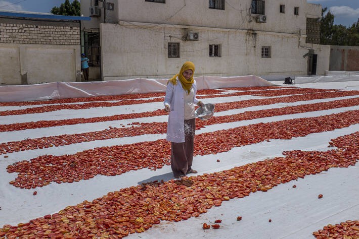 The world is converging on the need for sustainable agri-food systems