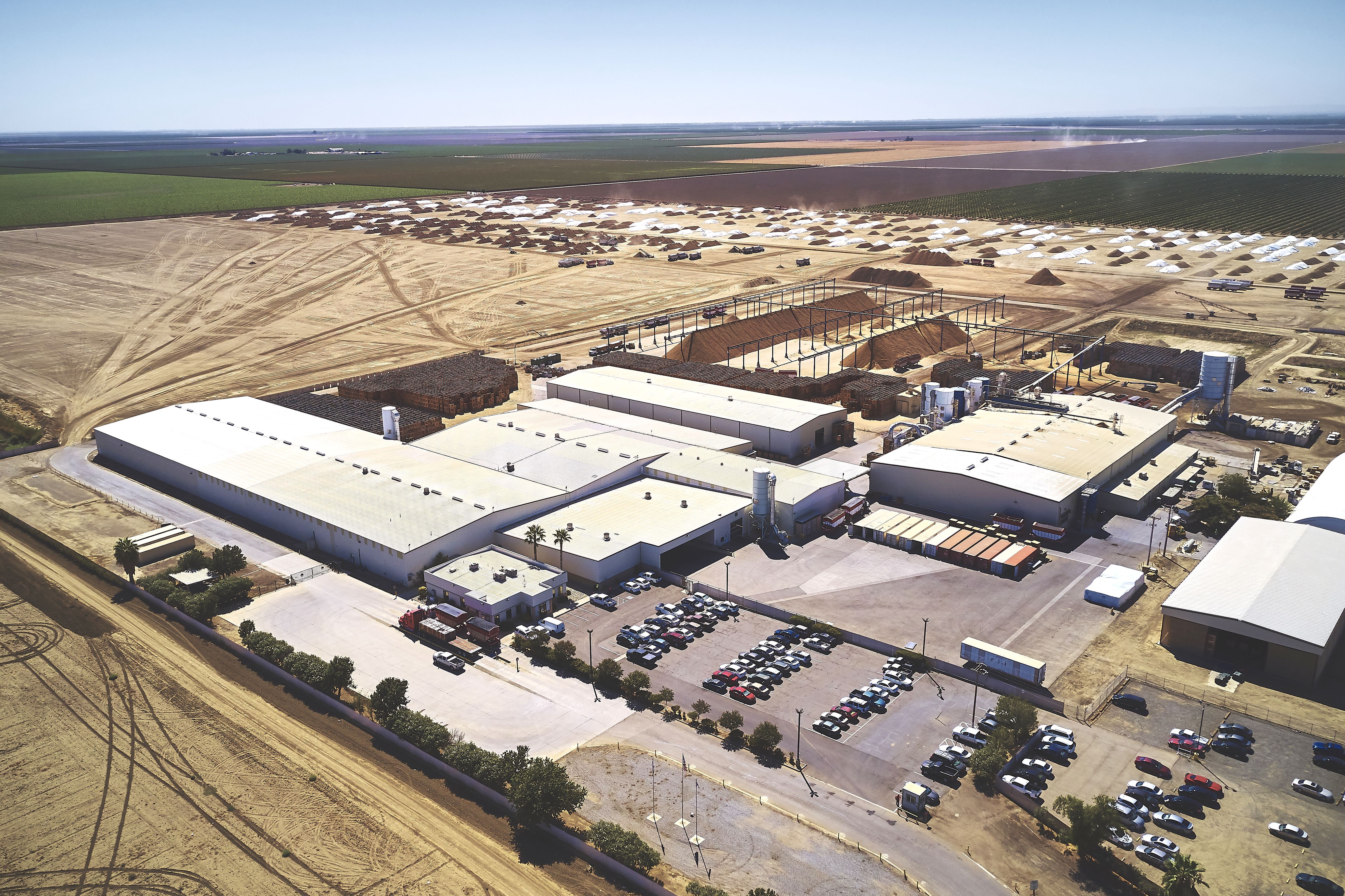 Pre-COVID optical sorting investment pays off for Harris Woolf