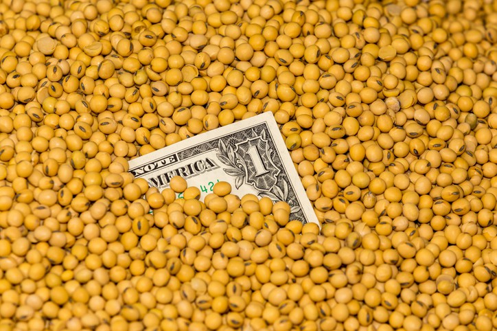 Soy, corn has set a multi-month high on S.American crop uncertainty