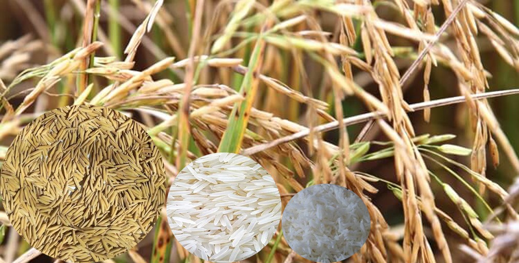 Japan trade agreement is a priority for the dairy industry