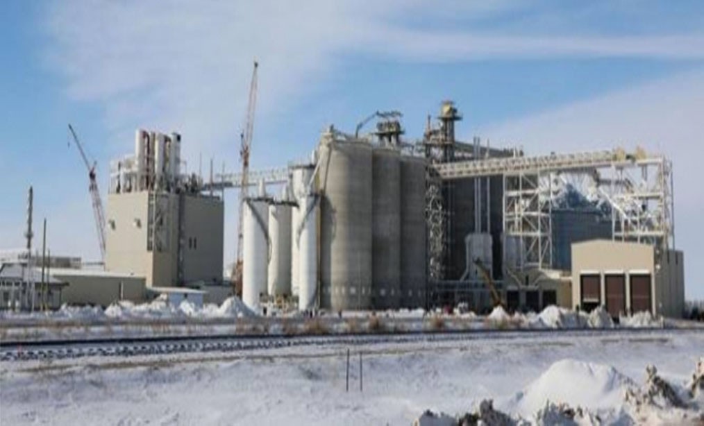 AGP Soybean Plant is going to Open Soon