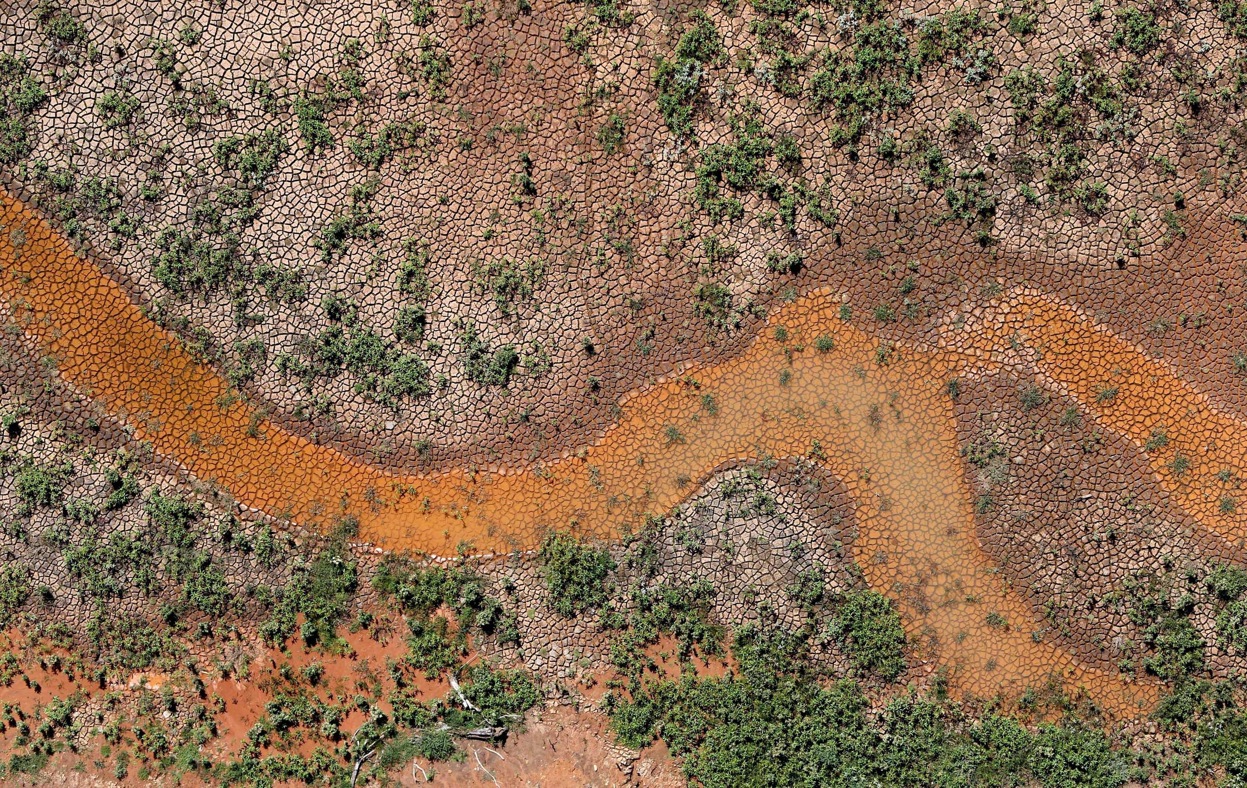 Drought in Brazil has a huge impact on agricultural products