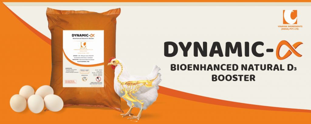 FEATURE ON DYNAMIC-ALPHA