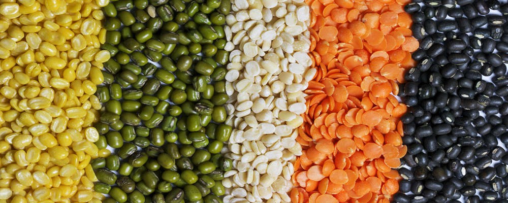 Imports are gradually increasing in Bangladesh due to low production of lentils