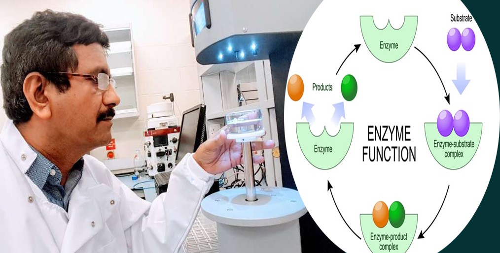 Scientists develop enzyme produced from agricultural waste