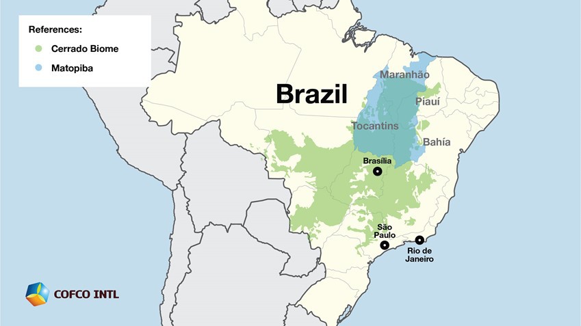 COFCO partnership traces and screens all direct soy supplies in Brazil’s Matopiba