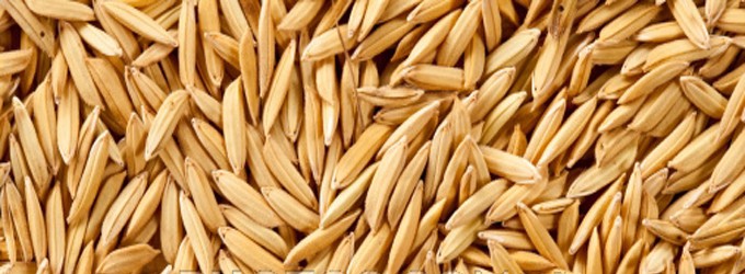 Know the special rules related to cutting, threshing and storage of paddy