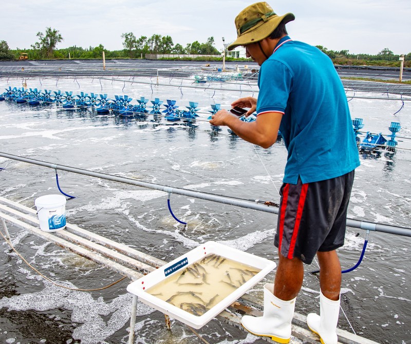 At present aquaculture is the fastest growing food sector in the world