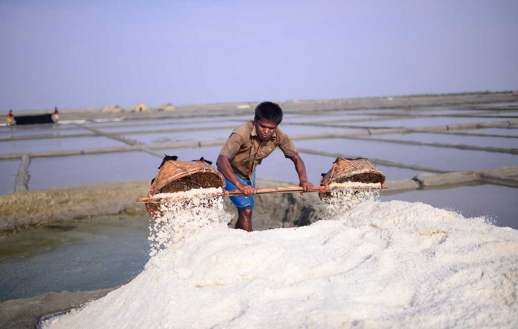 Owners of the salt mills are in trouble because of the iodine crisis during the season