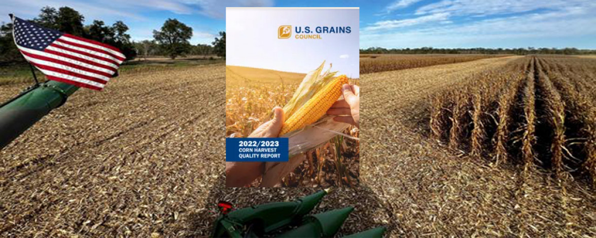 USGC 2022 Corn Harvest Quality Report: Higher Average Test Weight, Protein Content in This Year’s Harvest