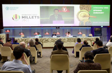 International Year of Millets: Unleashing the potential of millets for the well-being of people and the environment